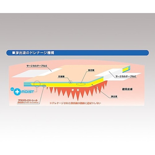 プラスモイストW1 WA1A