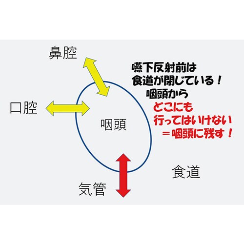 嚥下治療講座 2018山形読影会DVD