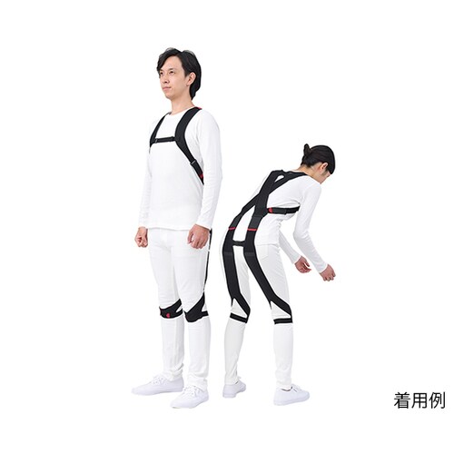 腰部サポートウェア ラクニエ L