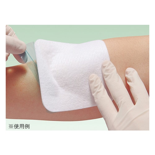 エスアイエイド 11号 5枚入 300×550mm