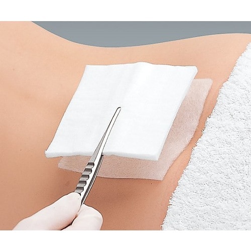 デルマエイド 100×200mm