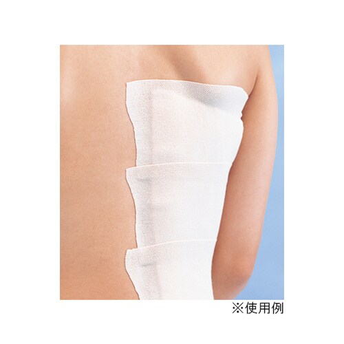 エラテックス・S 7号 4巻