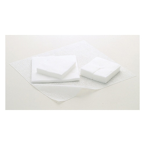 ハクゾウ トレンディ#2506