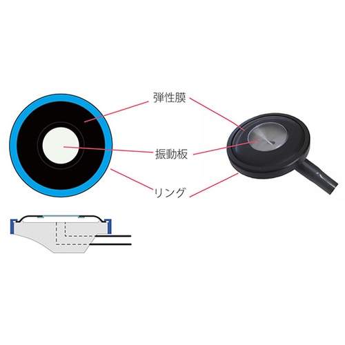 No.132 ティーエスフォネット パールプラム