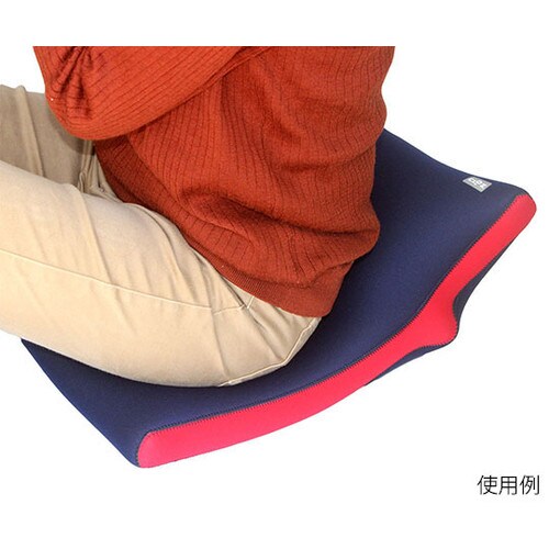HY−604 湯たんぽ座布団タイプ 紺赤