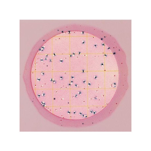 【冷蔵】ペトリフィルム 6414EC