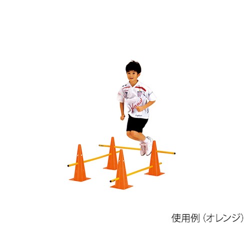 カラーポスト46 青