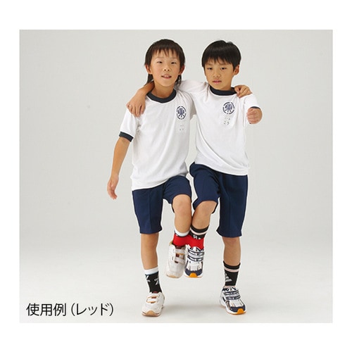 2人3脚用テープ RD