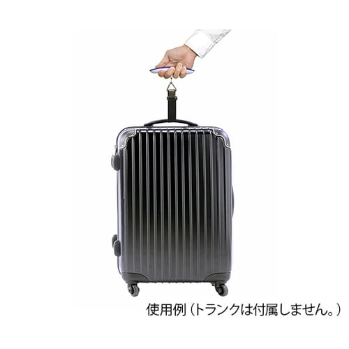 デジタルはかり 吊型 50Kg