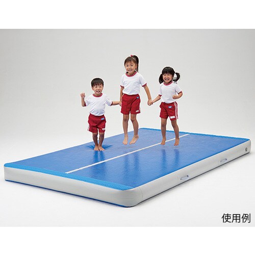 エアーボックス300 D−7174B