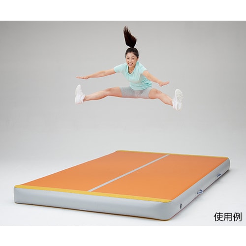 エアーボックス300 D−7174OR