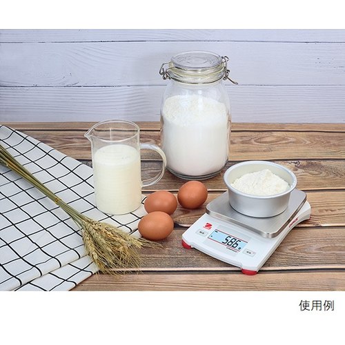 天びん 1200g 0.1g