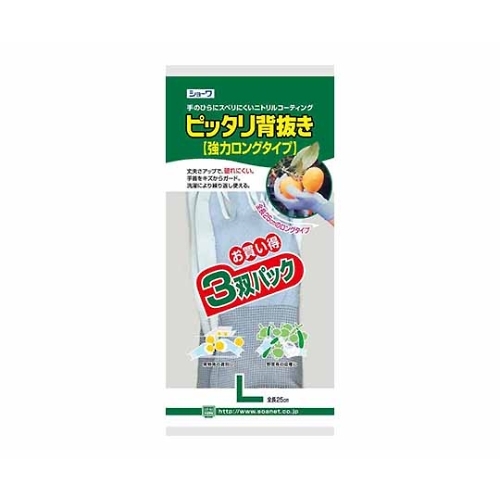 sb^̓ORo