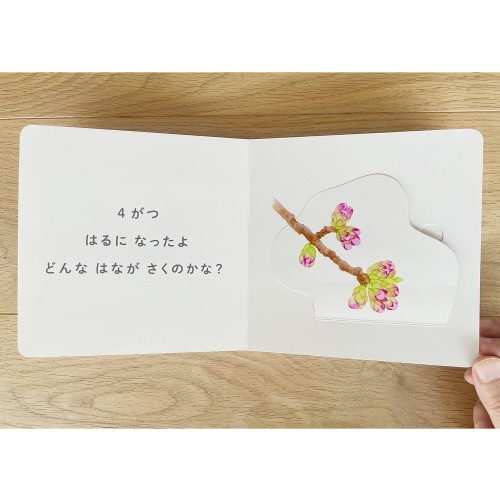 どんなはながさく?