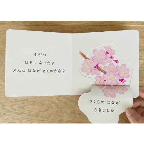 どんなはながさく?