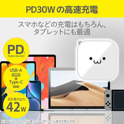 USB充電器 C/A 2ポート ホワイト