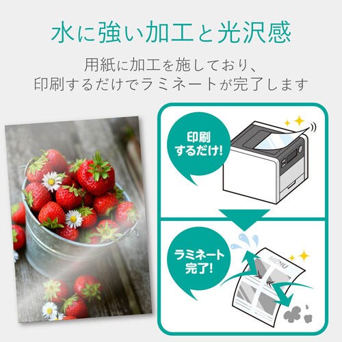 レーザー用紙 ラミネートマット紙両面 A4 5枚