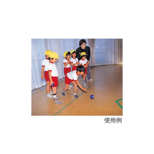 ボッチャボール ETE030