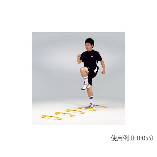 フレックスハードル5 5台組