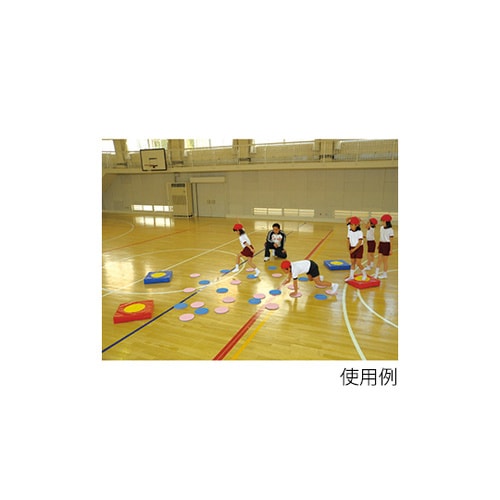 ETE092 屋内スポーツリバーシR