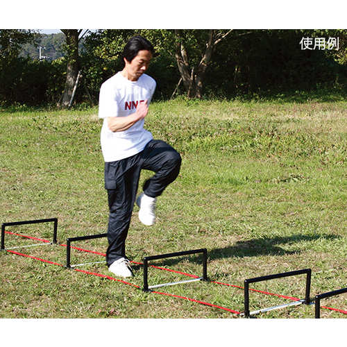 ラダーハードル Dー345