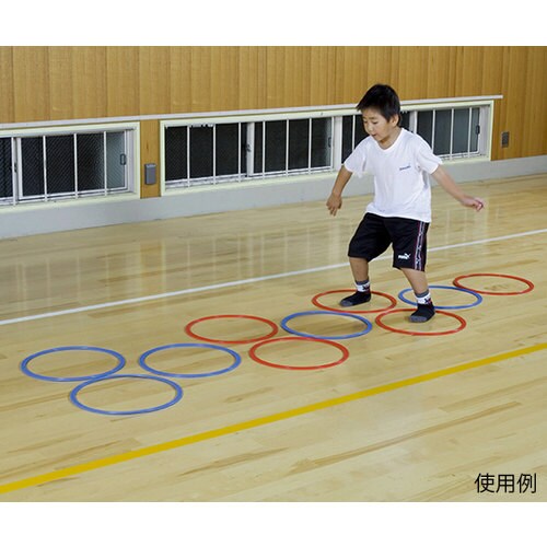 サークルラダー 赤・青×5本 1組 Dー335