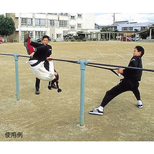 逆上がりマスター Dー249