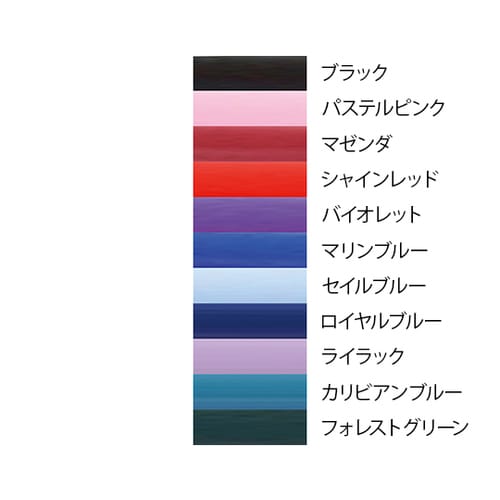 聴診器 basis S ロイヤルブルー