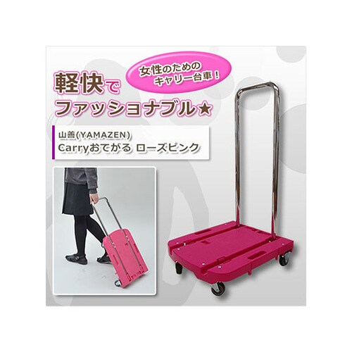 OTGーE50RP CARRYお手軽 桃