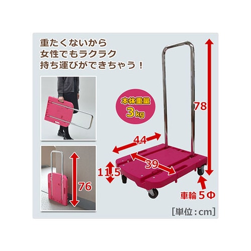 OTGーE50RP CARRYお手軽 桃