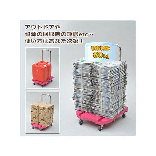 OTGーE50RP CARRYお手軽 桃