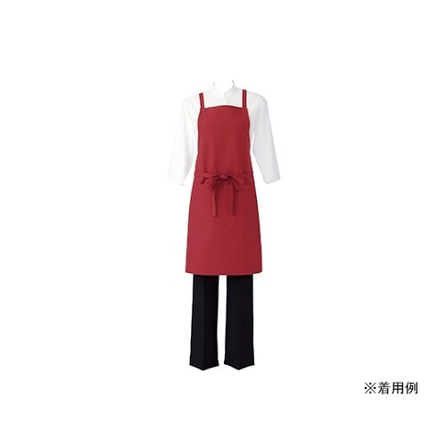 5ー057 エプロン エンジ フリー