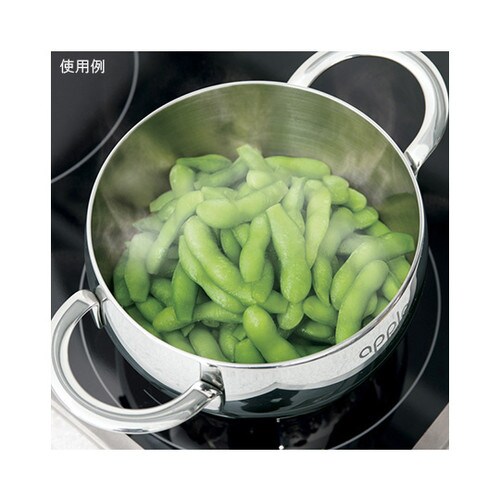 アップル 両手ナベ 6.6L