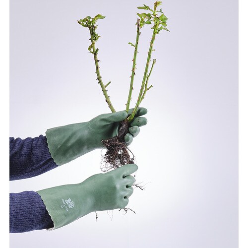 ローズラバー L