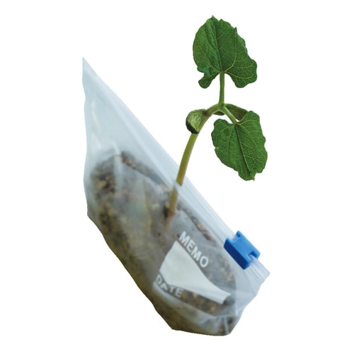 ケニス 種子発芽用袋 SHH