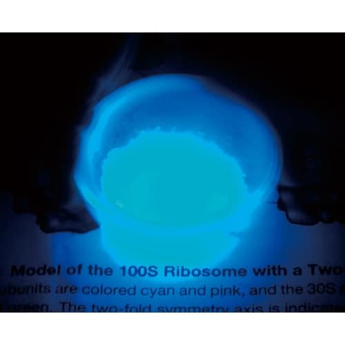 ケニス ウミホタル発光観察セット SFO