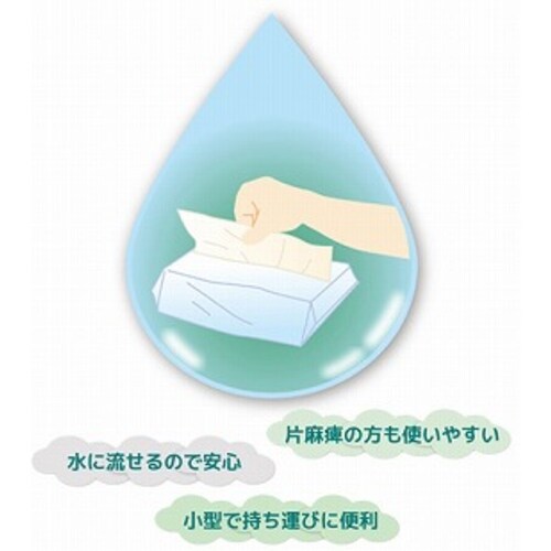 トイレペーパー 1セット(200組×5パック)