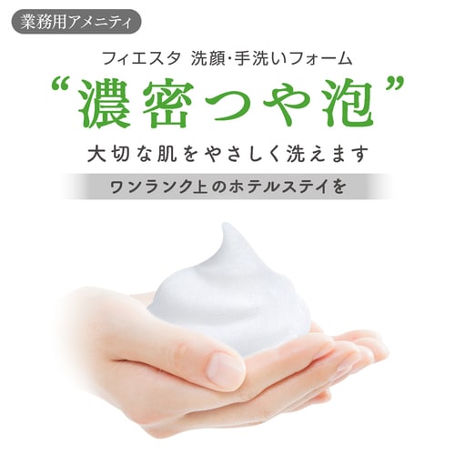 フィエスタ 洗顔・手洗いフォーム10L 業務用