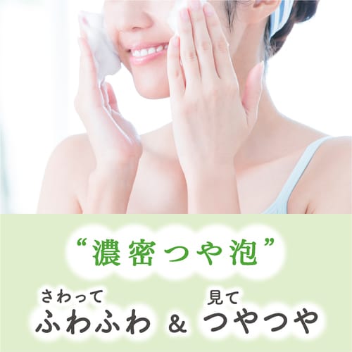 フィエスタ 洗顔・手洗いフォーム10L 業務用