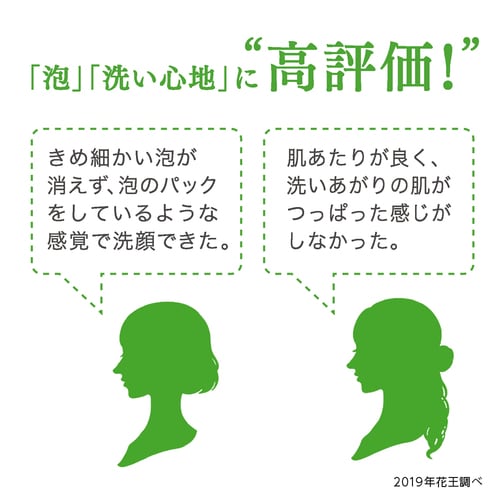 フィエスタ 洗顔・手洗いフォーム10L 業務用