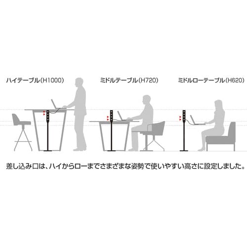 エナジーポール 電源2口 USB2口