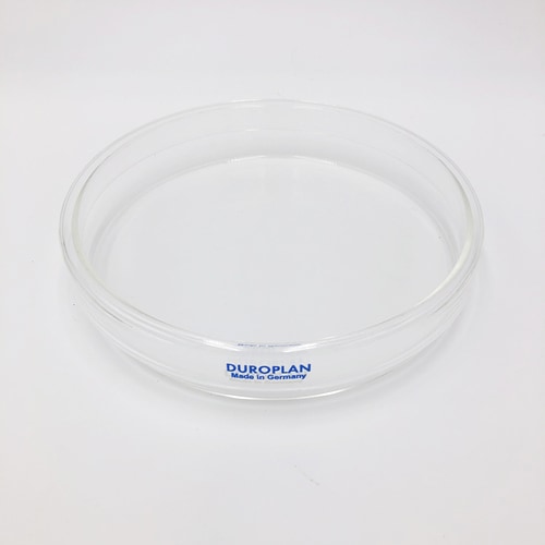 217555303 シャーレ