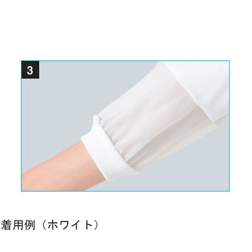 Wp[jp