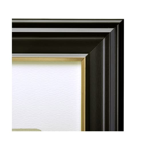 FWIY−TB 肖像額縁入山太子判無反射