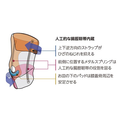 55108ラップニースタビライザーSからM