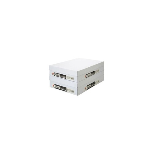 P155J−8T10 白画用紙中厚口八切