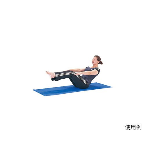 ETB631 ヨガマット EV