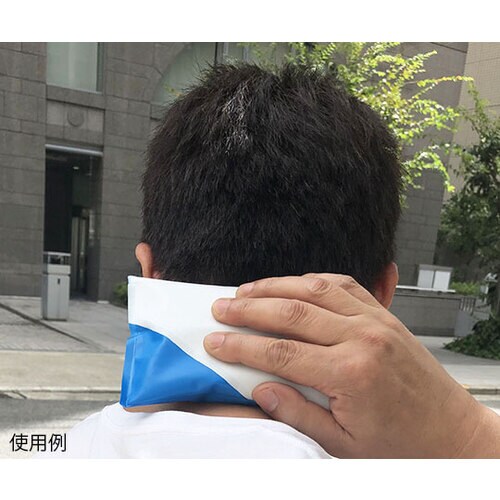 「手のひら冷却」用携帯保冷剤 Ice B
