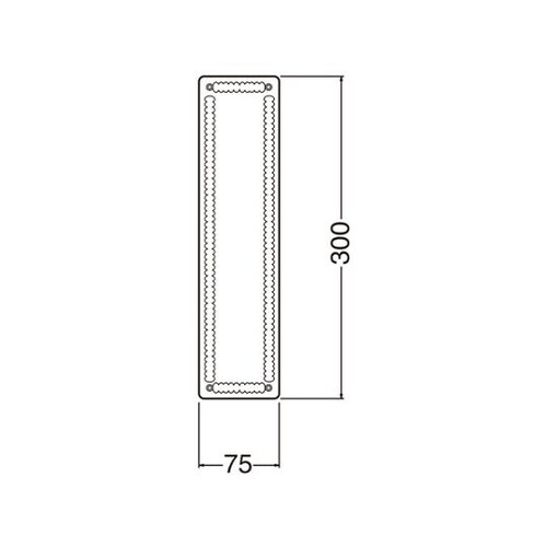 NO98 ステン押板300ミリ電解研磨