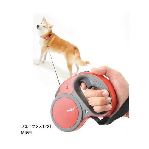 [[hk^p